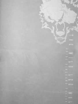 [逃亡者x新桥月白日语社][姬川明辉] THE WILD LEG wolf_114