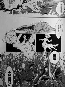 [逃亡者x新桥月白日语社][姬川明辉] THE WILD LEG wolf_133