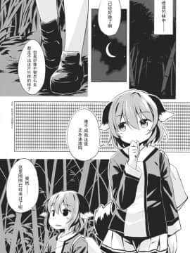 [兔子个人汉化] (C88) [Animal Passion (茹でピー)] 人狼匂に吠ゆれば山彦声に吠ゆ (東方Project)_00000004