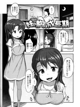 [はやけ] なにするの!? お兄ちゃん!! + 虎の穴特典_P085