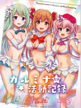 (サンクリ2019 Summer) [fake69rose (夜凪朝妃)] カルミナ活動記録 (プリンセスコネクト!Re:Dive)