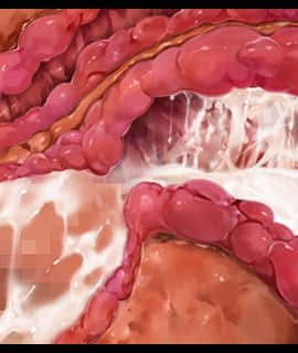 [Miel] 女理事長御堂貴音～撃チン・学生のデカマラにBBA穴を堕されて孕ませオナホ化～_154_zcu008c