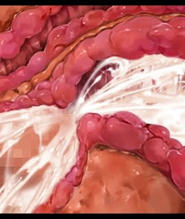[Miel] 女理事長御堂貴音～撃チン・学生のデカマラにBBA穴を堕されて孕ませオナホ化～_155_zcu008d