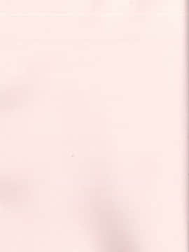 Motto Milk 5_27