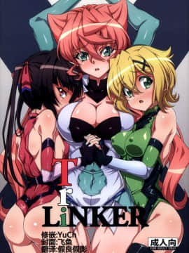 (C92) [CLOCK(しゅんぞう) ]TriLiNKER (戦姫絶唱シンフォギア) [假良假影个人汉化]