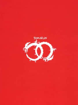 (C90) [タマラン (タマラン)] 可愛いカリオストロの本買ってくれてありがとー☆ (グランブルーファンタジー) [黑白灰汉化组]_12