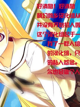[萌幻鸽乡汉化组] (C92) [ピリストローイカ (胃之上奇嘉郎)] 聖夜のデュエリスト 準備号 (グランブルーファンタジー)_26