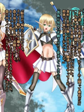 [星霜待機] 姫騎士エルフ転生_a06-03