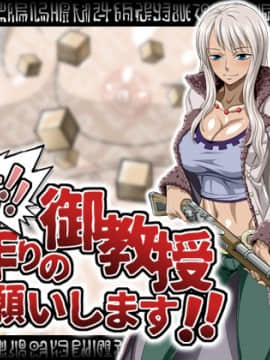 [NEL-ZEL FORMULA] 先生!!子作りの御教授お願いします!! (ワンピース)