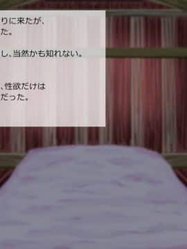[サークルめでをい] 異世界転移してゼ◯カと特濃めちゃハメ・上(初SEX編) (ドラゴンクエストVIII)_046