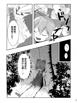 [暴碧汉化组] (紅楼夢12) [さつき灯篭 (あすとら、残りライフ1)] むちるの (東方Project)_24