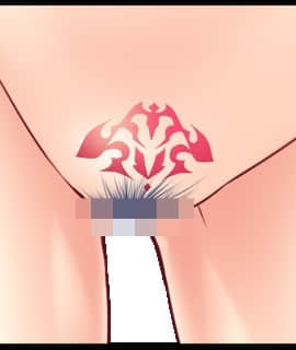 デカ乳ムチ尻BBA騎士団 ～歴戦の女騎士も巨根には勝てない！爆乳爆尻牝にエロ酷いことし放題の絶対忠誠ハーレム♪～_0209_birgit_sc_002