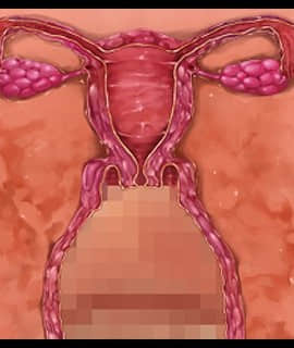 デカ乳ムチ尻BBA騎士団 ～歴戦の女騎士も巨根には勝てない！爆乳爆尻牝にエロ酷いことし放題の絶対忠誠ハーレム♪～_0282_zcu002a