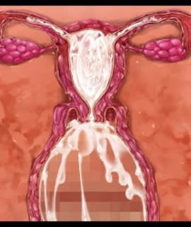 デカ乳ムチ尻BBA騎士団 ～歴戦の女騎士も巨根には勝てない！爆乳爆尻牝にエロ酷いことし放題の絶対忠誠ハーレム♪～_0283_zcu002b