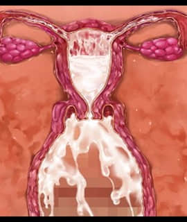 デカ乳ムチ尻BBA騎士団 ～歴戦の女騎士も巨根には勝てない！爆乳爆尻牝にエロ酷いことし放題の絶対忠誠ハーレム♪～_0284_zcu002c