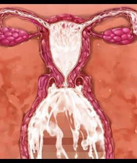 デカ乳ムチ尻BBA騎士団 ～歴戦の女騎士も巨根には勝てない！爆乳爆尻牝にエロ酷いことし放題の絶対忠誠ハーレム♪～_0285_zcu002d