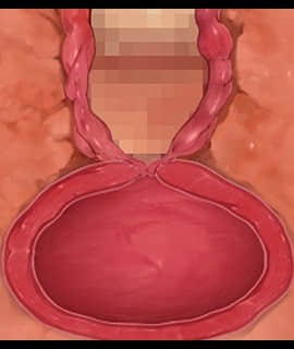 デカ乳ムチ尻BBA騎士団 ～歴戦の女騎士も巨根には勝てない！爆乳爆尻牝にエロ酷いことし放題の絶対忠誠ハーレム♪～_0290_zcu004a
