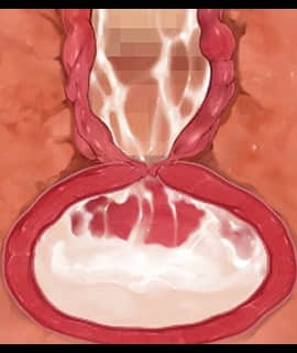 デカ乳ムチ尻BBA騎士団 ～歴戦の女騎士も巨根には勝てない！爆乳爆尻牝にエロ酷いことし放題の絶対忠誠ハーレム♪～_0292_zcu004c
