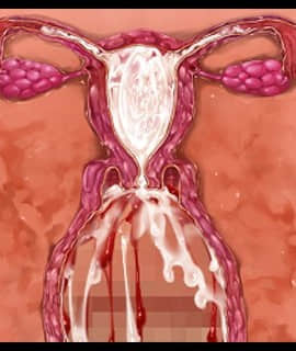 デカ乳ムチ尻BBA騎士団 ～歴戦の女騎士も巨根には勝てない！爆乳爆尻牝にエロ酷いことし放題の絶対忠誠ハーレム♪～_0329_zcu102b