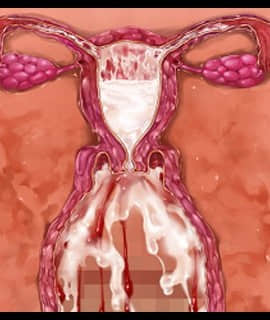 デカ乳ムチ尻BBA騎士団 ～歴戦の女騎士も巨根には勝てない！爆乳爆尻牝にエロ酷いことし放題の絶対忠誠ハーレム♪～_0330_zcu102c