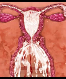 デカ乳ムチ尻BBA騎士団 ～歴戦の女騎士も巨根には勝てない！爆乳爆尻牝にエロ酷いことし放題の絶対忠誠ハーレム♪～_0331_zcu102d