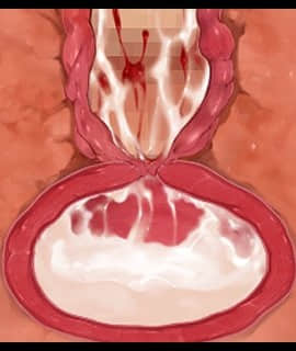 デカ乳ムチ尻BBA騎士団 ～歴戦の女騎士も巨根には勝てない！爆乳爆尻牝にエロ酷いことし放題の絶対忠誠ハーレム♪～_0338_zcu104c