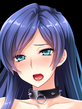 デカ乳ムチ尻BBA騎士団 ～歴戦の女騎士も巨根には勝てない！爆乳爆尻牝にエロ酷いことし放題の絶対忠誠ハーレム♪～_0556_st_birgit_b003e
