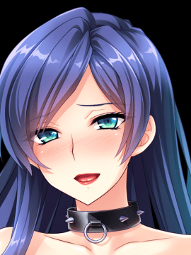 デカ乳ムチ尻BBA騎士団 ～歴戦の女騎士も巨根には勝てない！爆乳爆尻牝にエロ酷いことし放題の絶対忠誠ハーレム♪～_0558_st_birgit_b003g