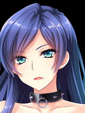 デカ乳ムチ尻BBA騎士団 ～歴戦の女騎士も巨根には勝てない！爆乳爆尻牝にエロ酷いことし放題の絶対忠誠ハーレム♪～_0587_st_birgit_b008a