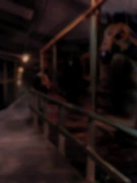 ルーンミッドガッツの交配実験2～ロードナイト編～_198_197
