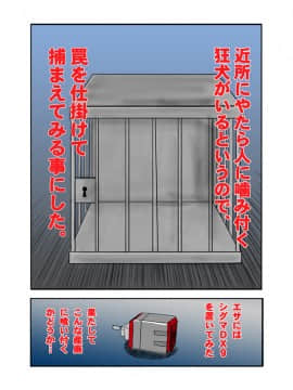 [IZU屋] 狂犬の檻 (ダンボール戦機)_024