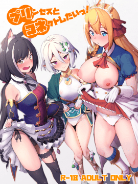 (C96) [生き恥ハミングバード (天野どん)] プリンセスとコネクトしたいっ! (プリンセスコネクト!Re:Dive)[無邪気漢化組]_02