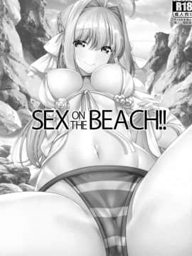 (C96) [RED CROWN (石神一威)] SEX ON THE BEACH!! (FateGrand Order) [空気系☆漢化]_002