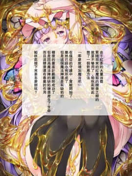 [靴下汉化组] (例大祭11) [しろくろうさ (スギユウ)] はに×はに (東方Project)_002