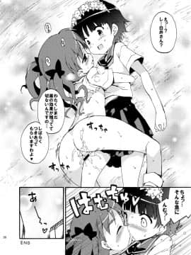 [Dr.VERMILION (ペテン師)] ダークサイドニルヴァーナ (とある科学の超電磁砲)_36