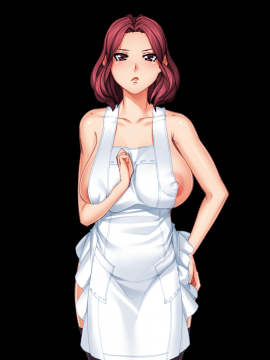 [ANIM] 昼下がりの団恥淫妻2 ～夫には言えない秘密の訪問販売～_231_213_212