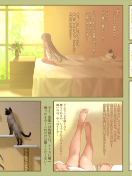 [正経同人 (As109)] CITY no.109 アリス編・破_text_Image033